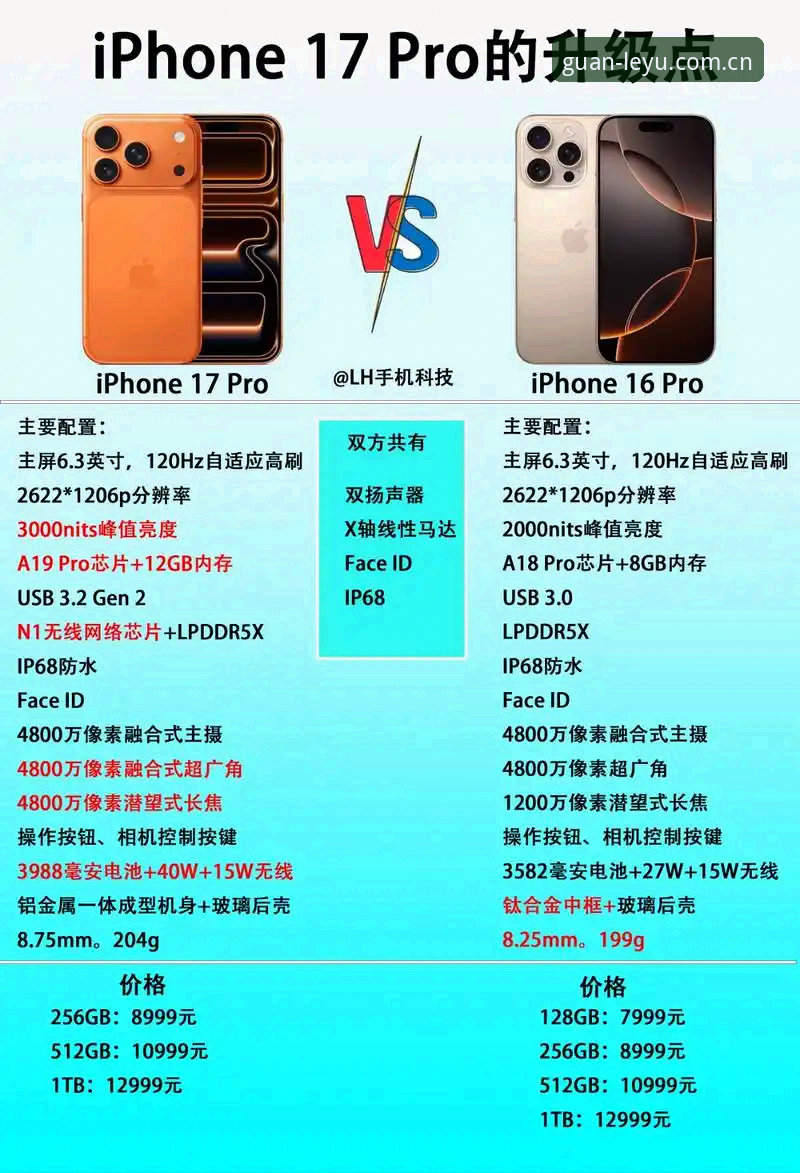 乐鱼官网焕新版与旧版入口对比：一个体育迷的真实选择